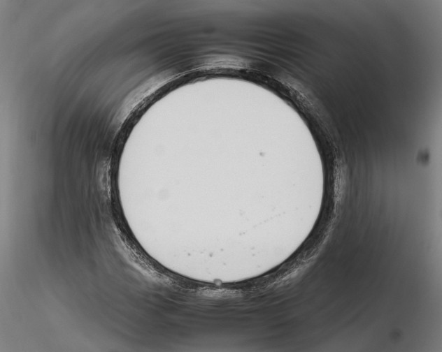 X0000115501113200912041032