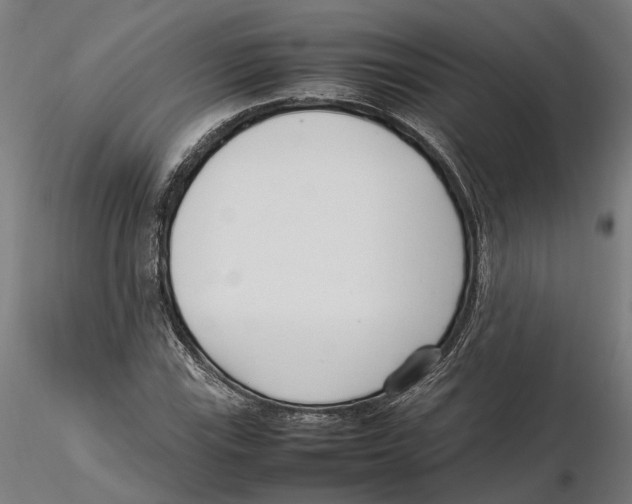X0000115501115200912041032
