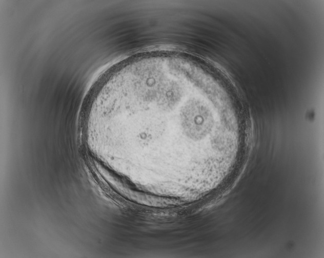 X0000115501117200912041032