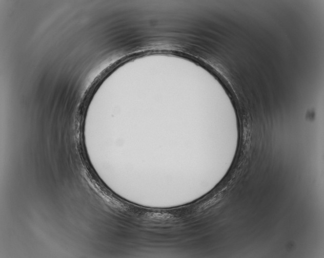 X0000115501119200912041032