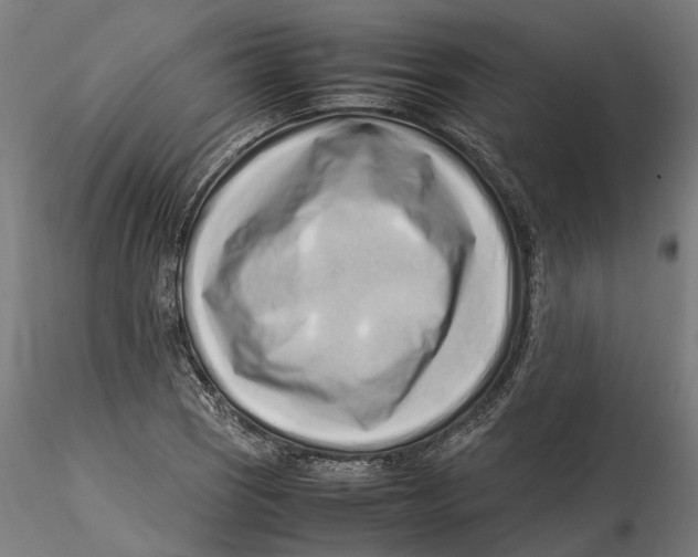 X0000115501121200912041032