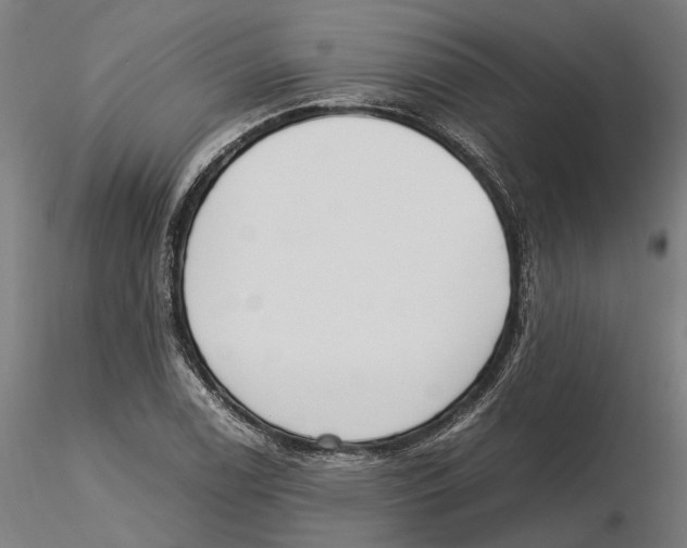 X0000115501122200912041032