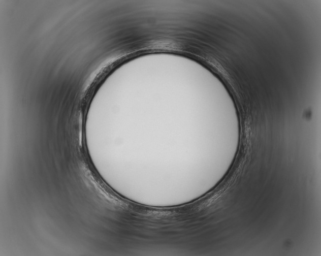 X0000115501123200912041032
