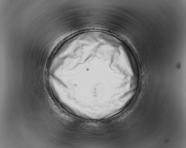 X0000115501125200912041032