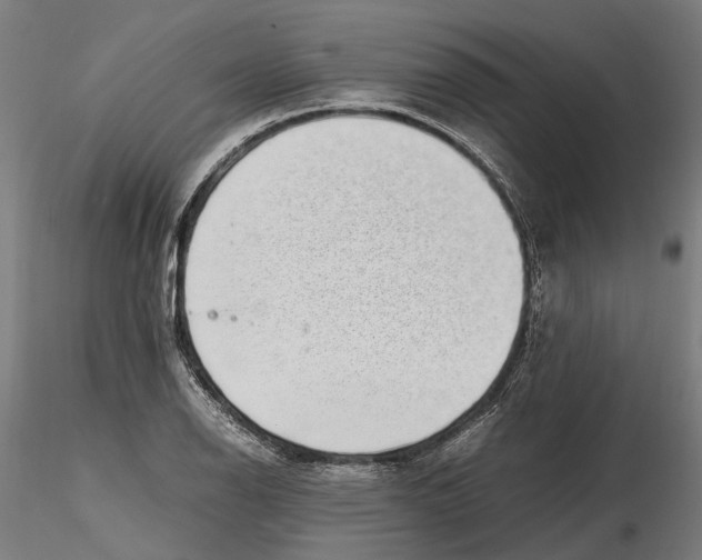X0000115501126200912041032