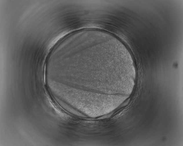 X0000115501127200912041032