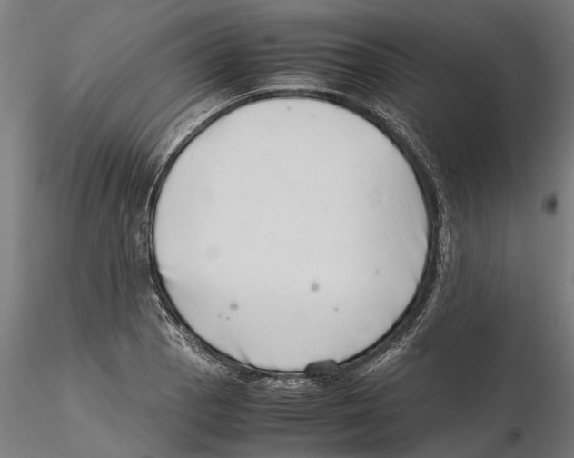 X0000115501129200912041032