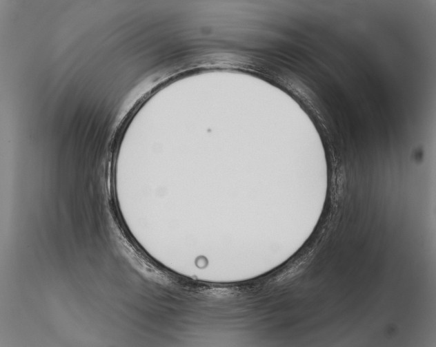 X0000115501130200912041032