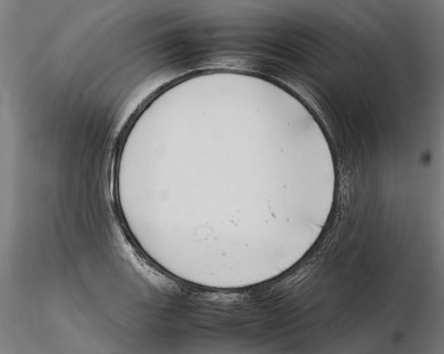 X0000115501131200912041032