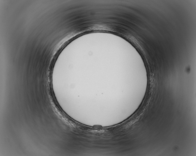 X0000115501133200912041032