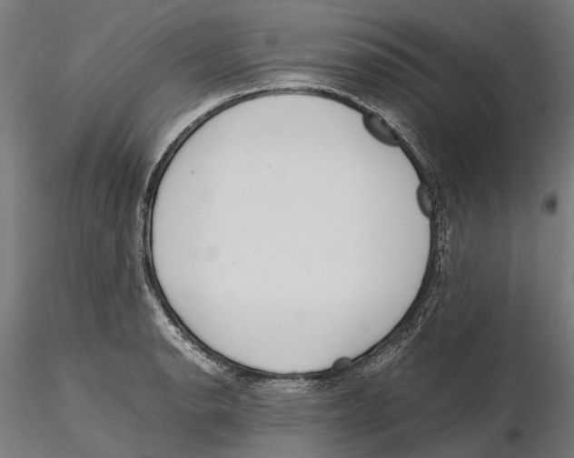 X0000115501134200912041032