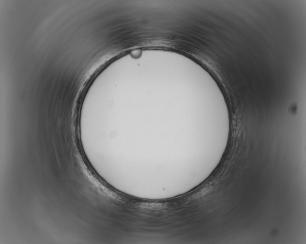 X0000115501135200912041032