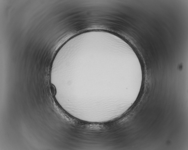 X0000115501137200912041032