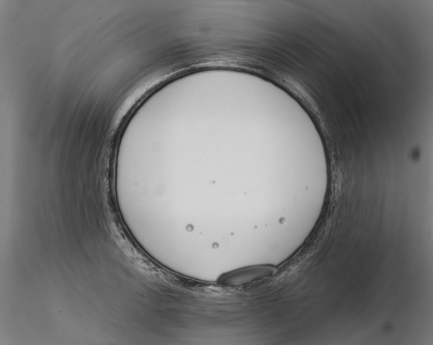 X0000115501138200912041032