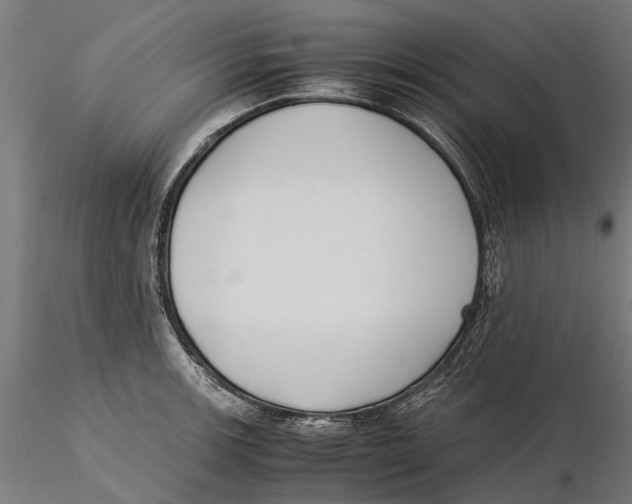 X0000115501139200912041032