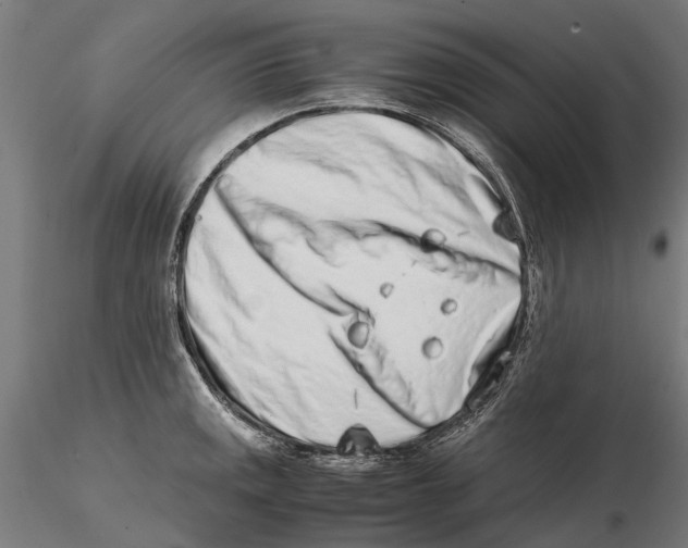 X0000115501141200912041032