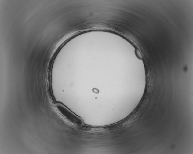 X0000115501142200912041032