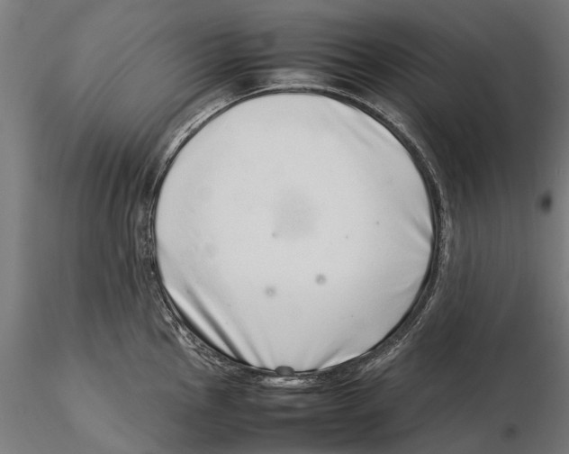 X0000115501145200912041032
