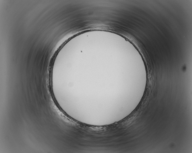 X0000115501147200912041032