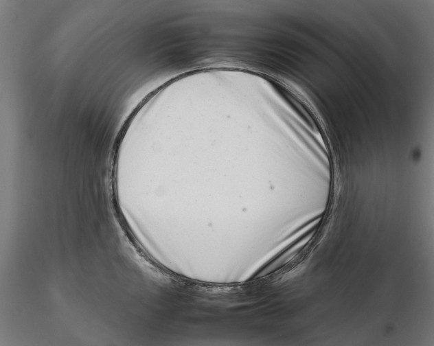 X0000115501149200912041032