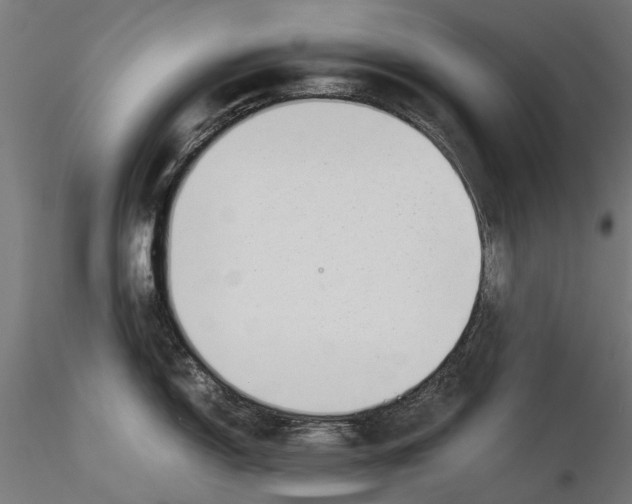 X0000115501150200912041032