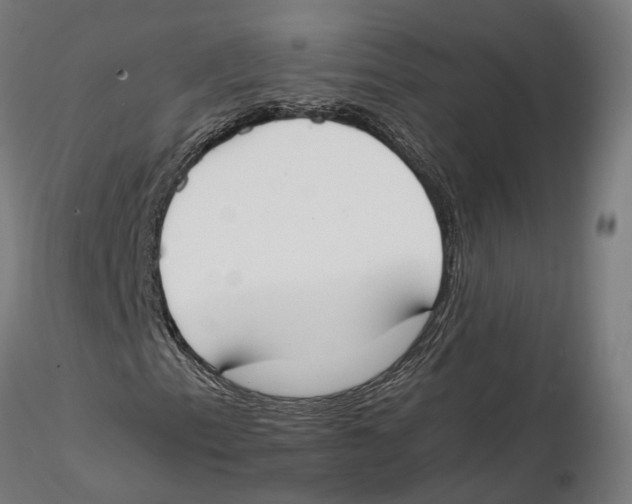 X0000115501153200912041032