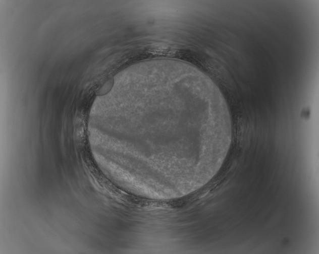 X0000115501154200912041032