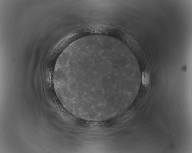 X0000115501155200912041031