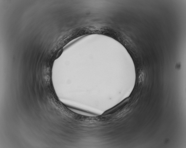 X0000115501156200912041031