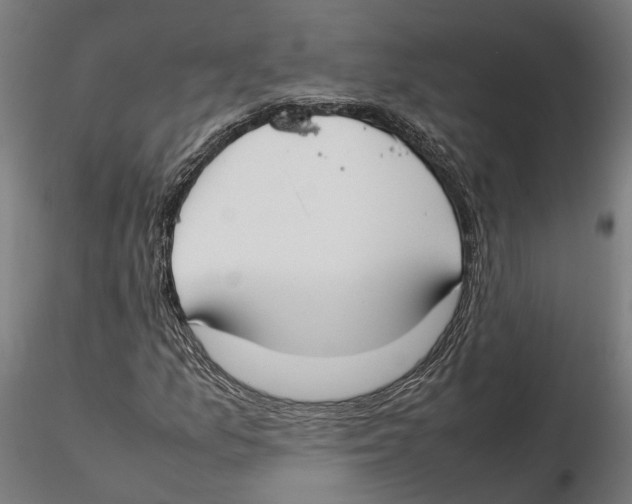 X0000115501157200912041031