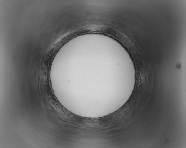 X0000115501158200912041031