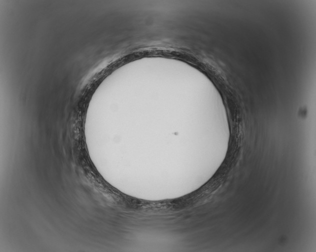 X0000115501159200912041031