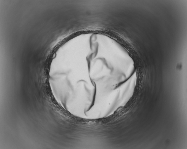 X0000115501160200912041031