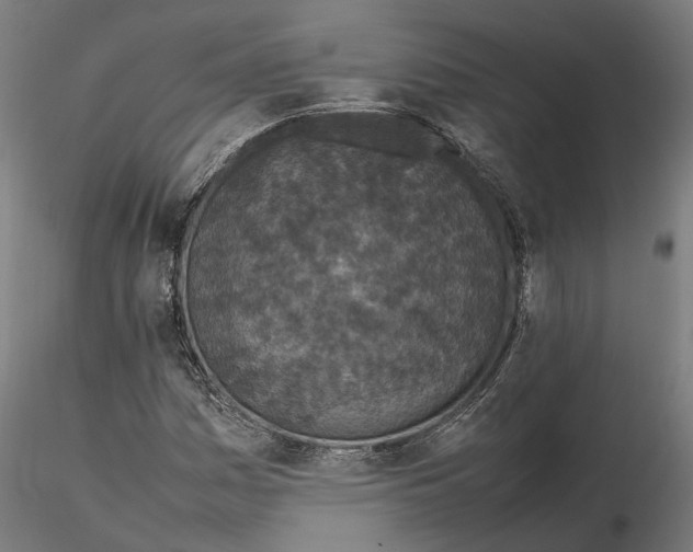 X0000115501161200912041031