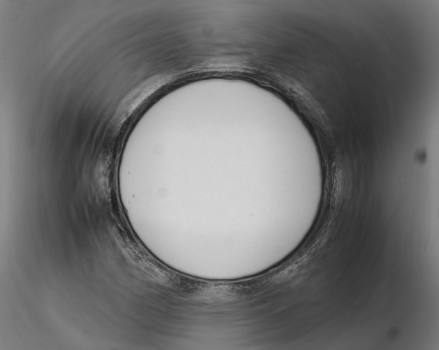 X0000115501162200912041031