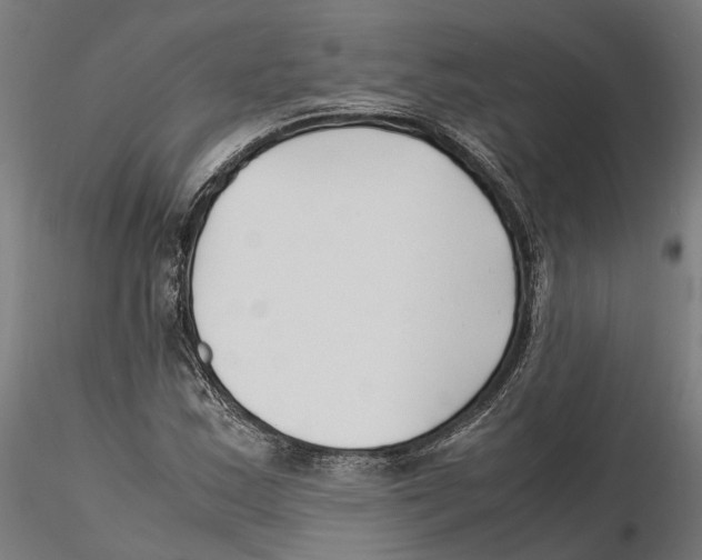 X0000115501163200912041031