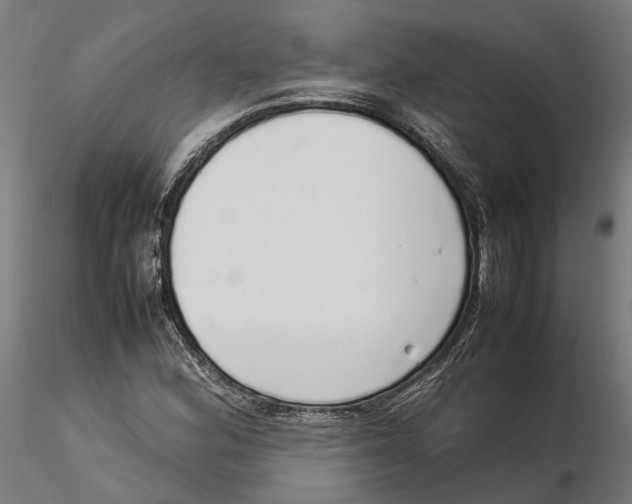 X0000115501164200912041031