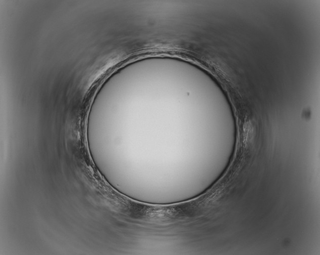 X0000115501165200912041031