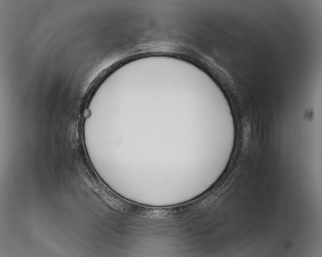 X0000115501166200912041031