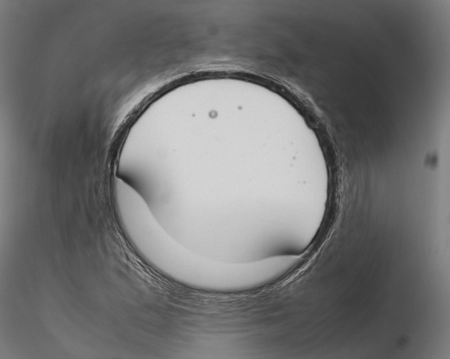 X0000115501167200912041031