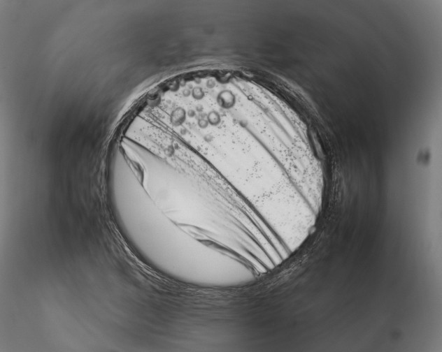 X0000115501168200912041031