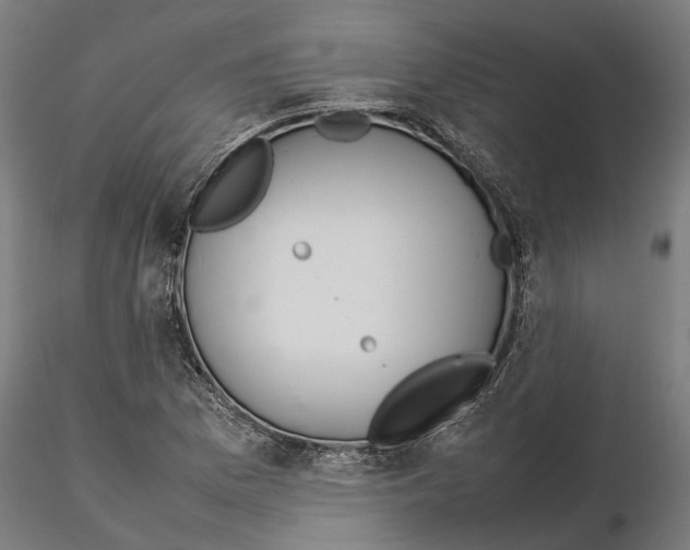 X0000115501169200912041031