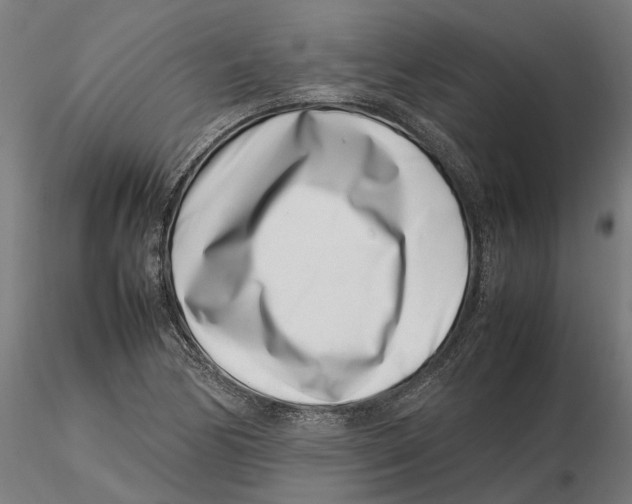 X0000115501170200912041031