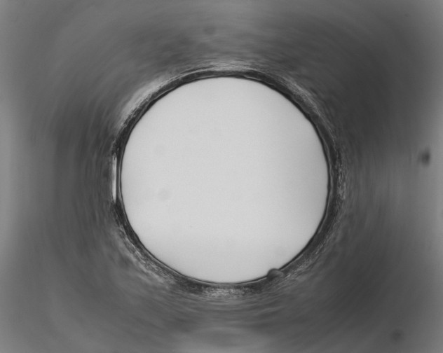 X0000115501171200912041031
