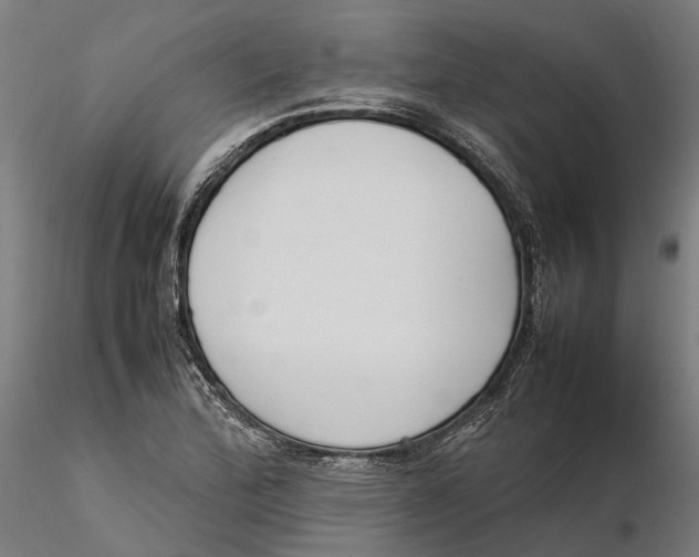 X0000115501172200912041031