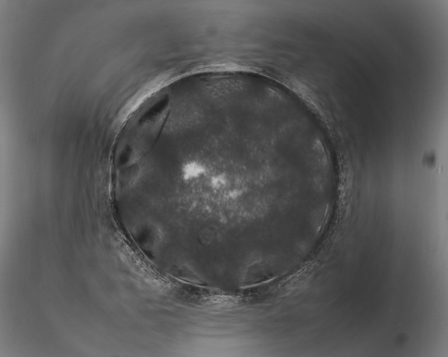 X0000115501173200912041031
