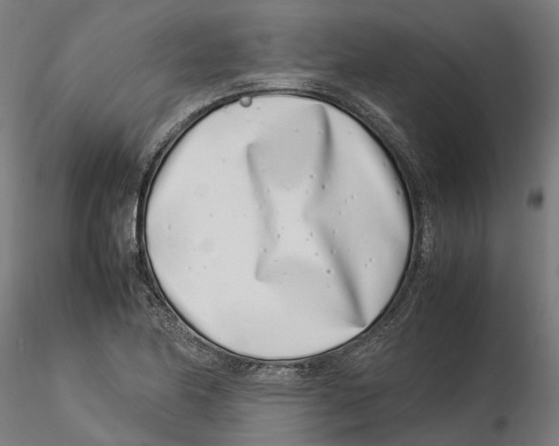 X0000115501174200912041031