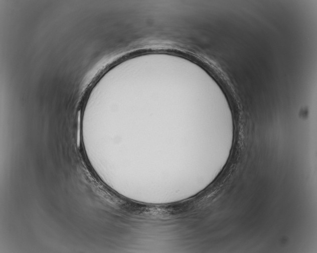 X0000115501175200912041031