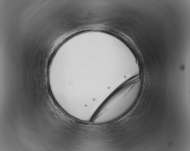 X0000115501176200912041031