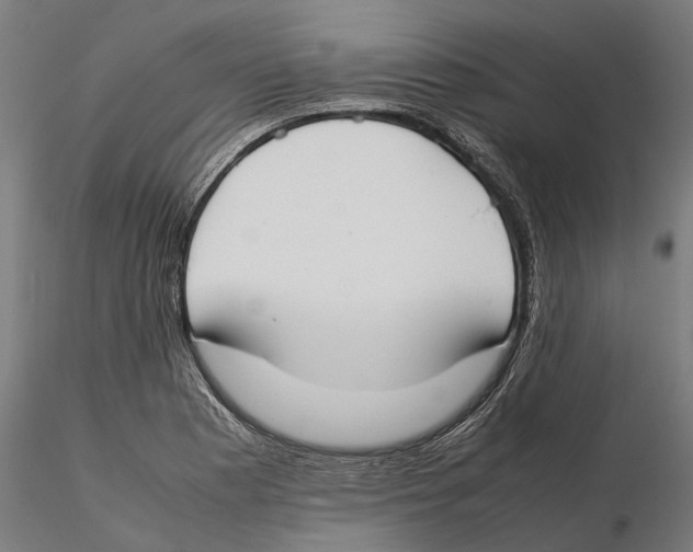 X0000115501177200912041031